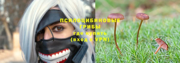не бодяженный Каменногорск