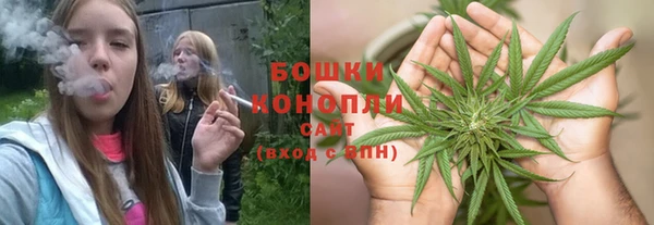 не бодяженный Каменногорск
