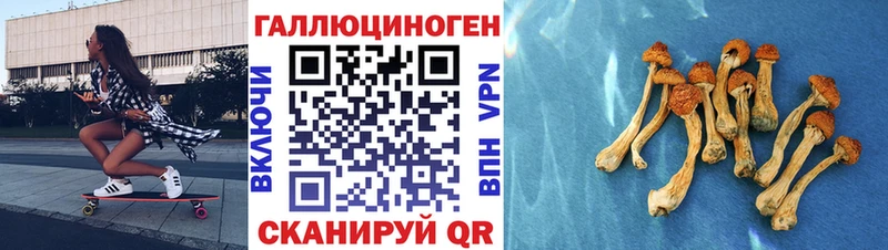 Галлюциногенные грибы Psilocybe  Купить закладки  Касли 